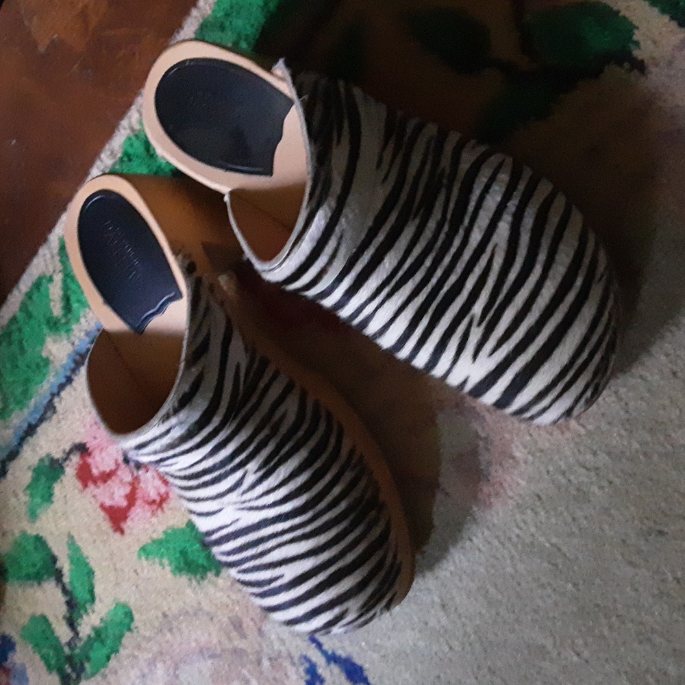 Swedish Hasbeens Clogs